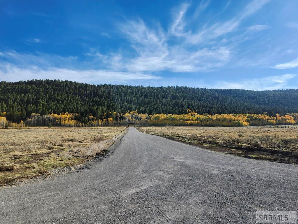 3727 Red Rock Road Property Photo 6