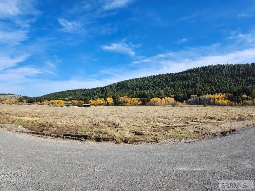 3727 Red Rock Road Property Photo 8