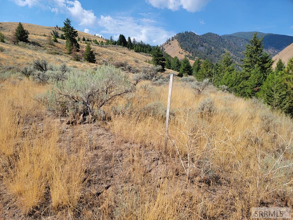 Nkn Oliver Drive Property Photo 6