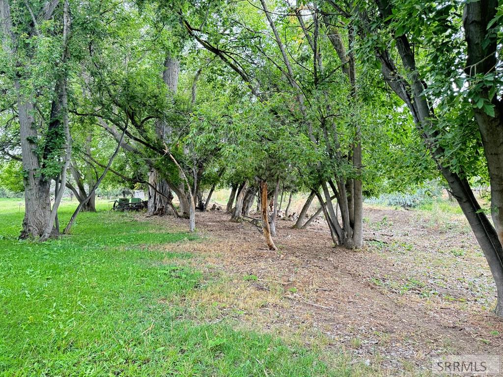 ~46 S 700 W Property Photo 10