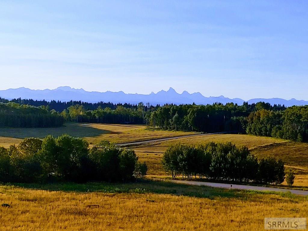 1628 Teton View Drive Property Photo 3