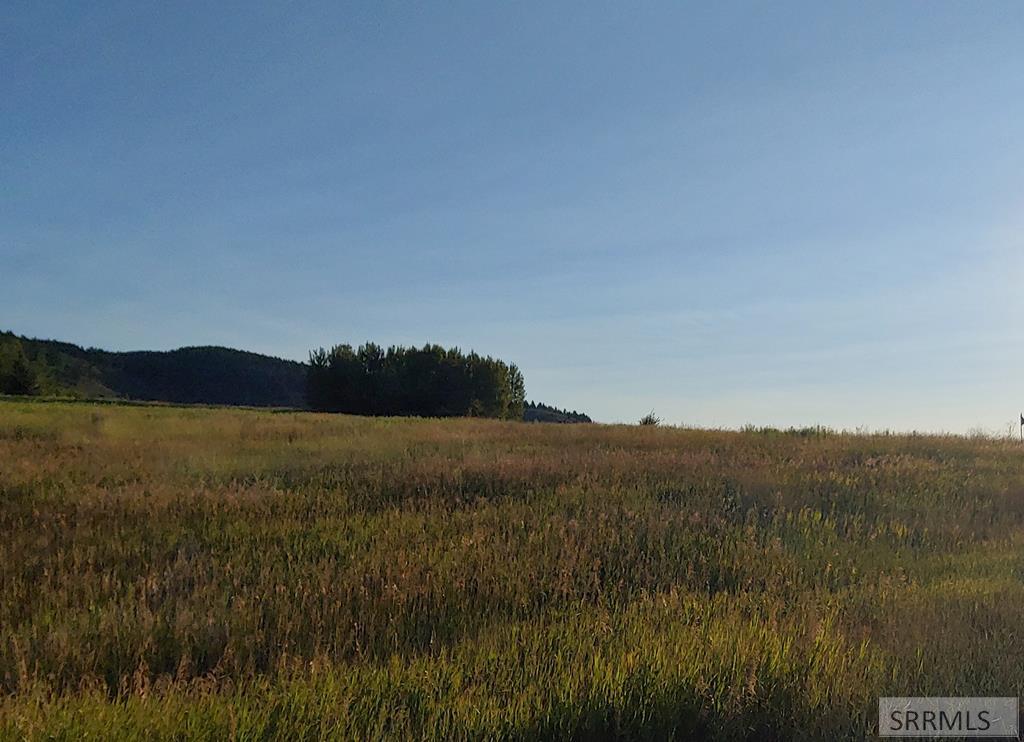 1628 Teton View Drive Property Photo 8