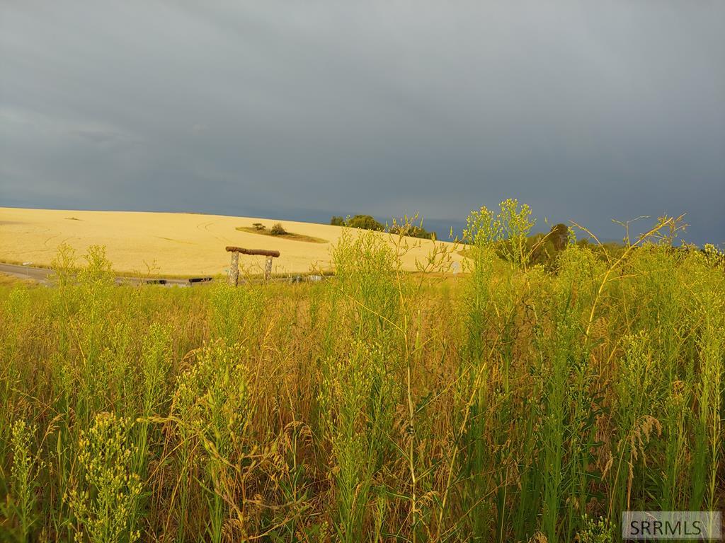 1628 Teton View Drive Property Photo 10