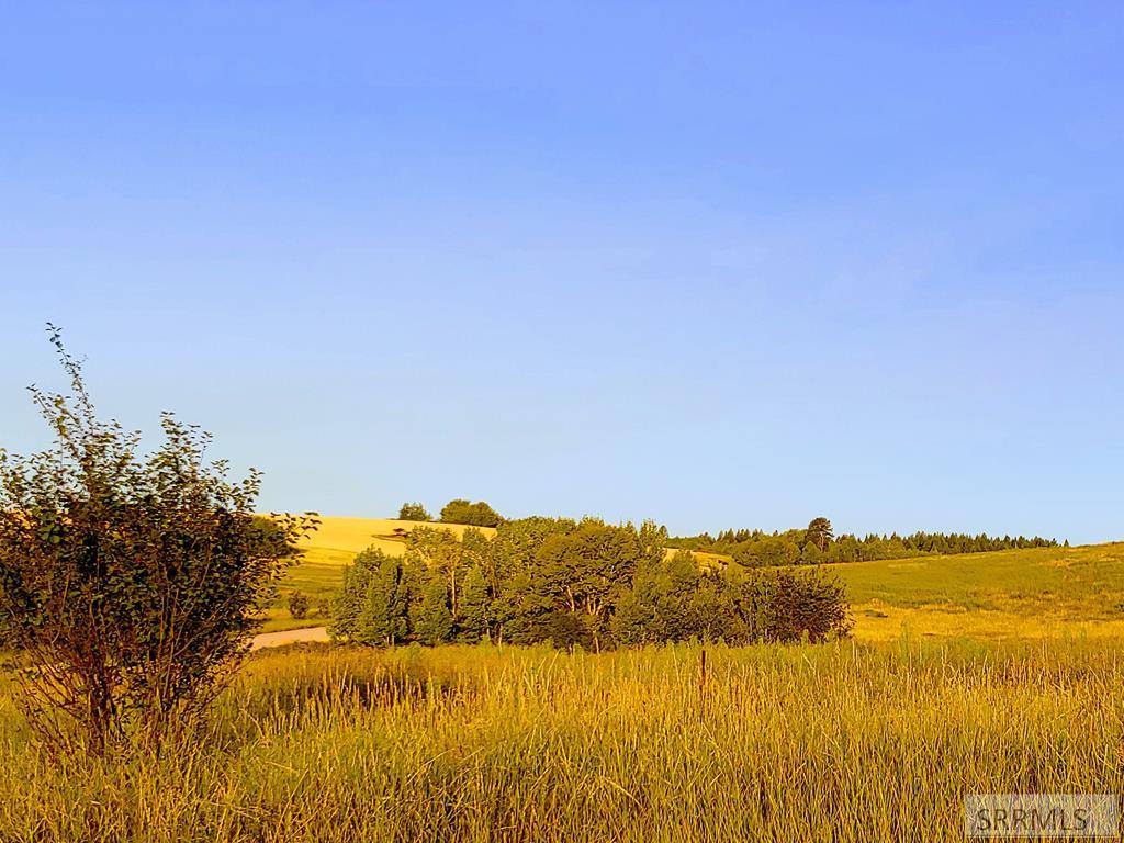 1628 Teton View Drive Property Photo 13