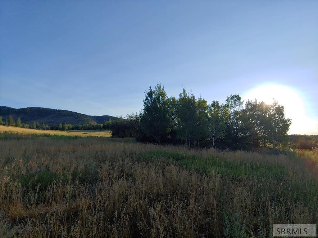 1628 Teton View Drive Property Photo 15