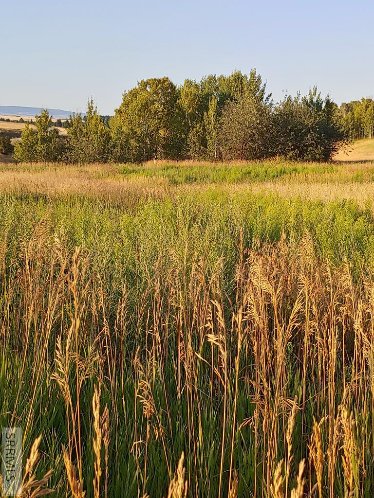 1628 Teton View Drive Property Photo 20