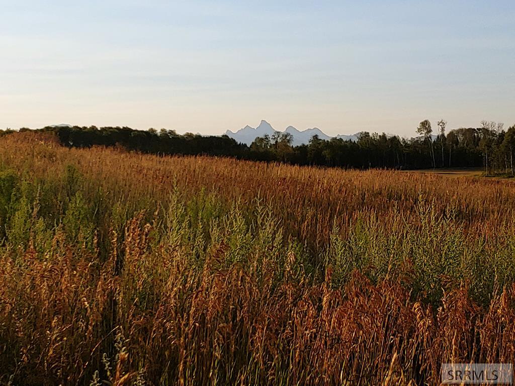 1628 Teton View Drive Property Photo 24