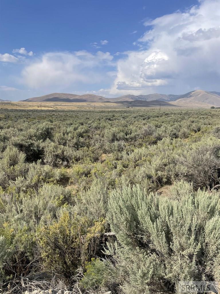 Tbd Jackson Road Property Photo 3