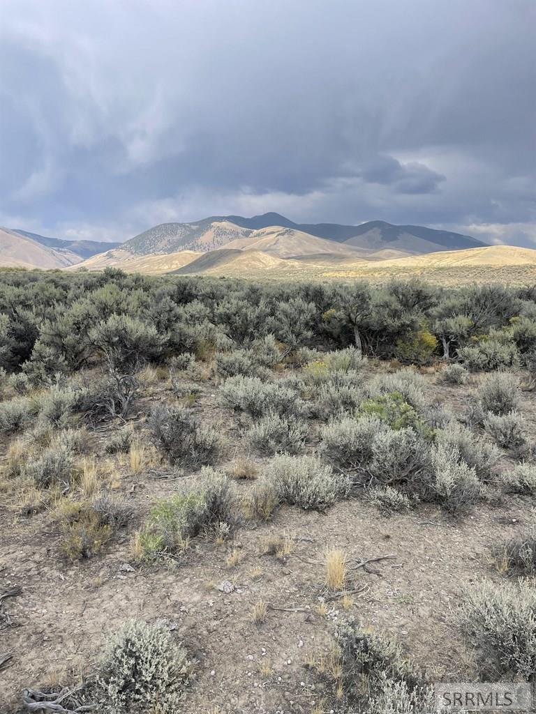 Tbd Jackson Road Property Photo 4