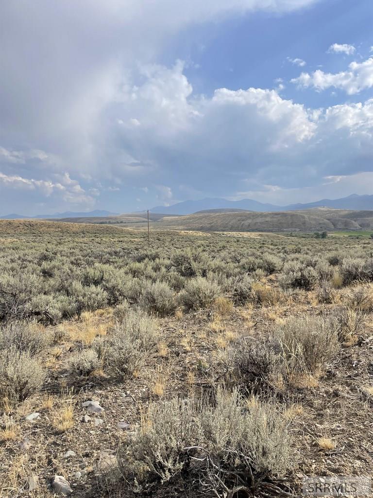 Tbd Jackson Road Property Photo 6