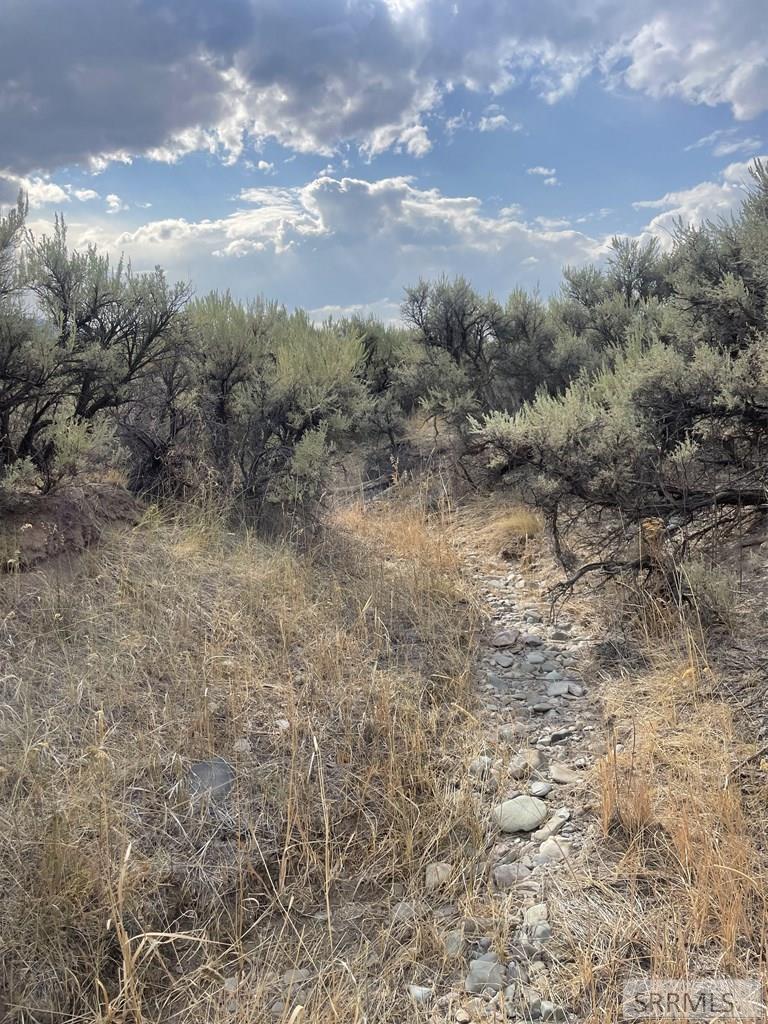 Tbd Jackson Road Property Photo 11