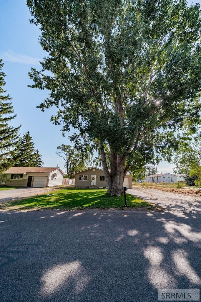 286 Rice Street Property Photo 6