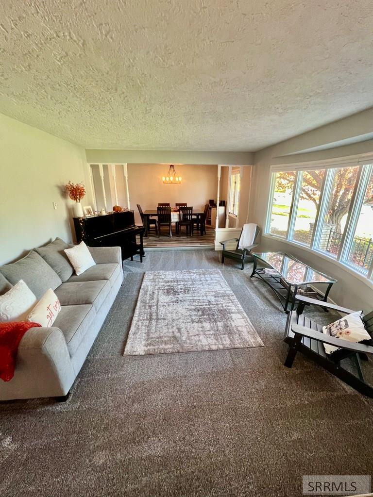 2921 Disney Drive Property Photo 4