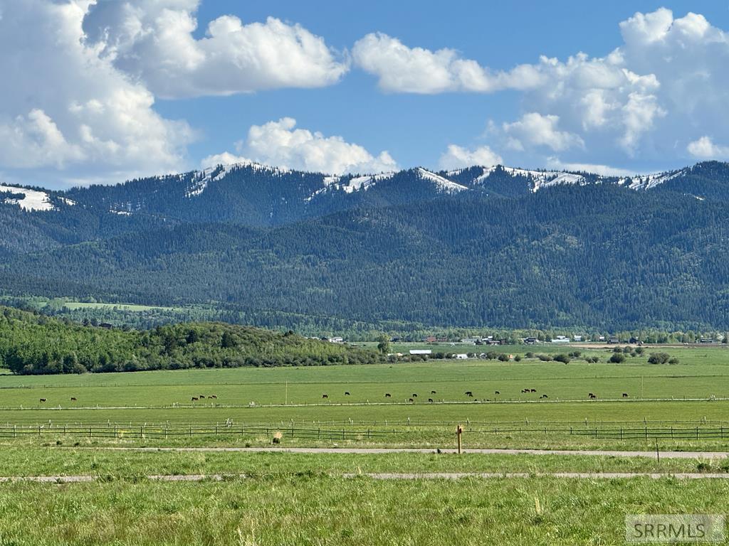 623 Royal Elk Circle Property Photo 28