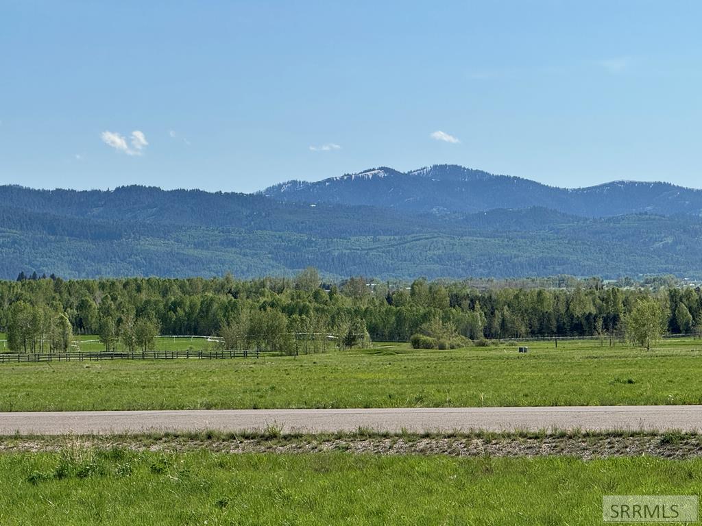 623 Royal Elk Circle Property Photo 29