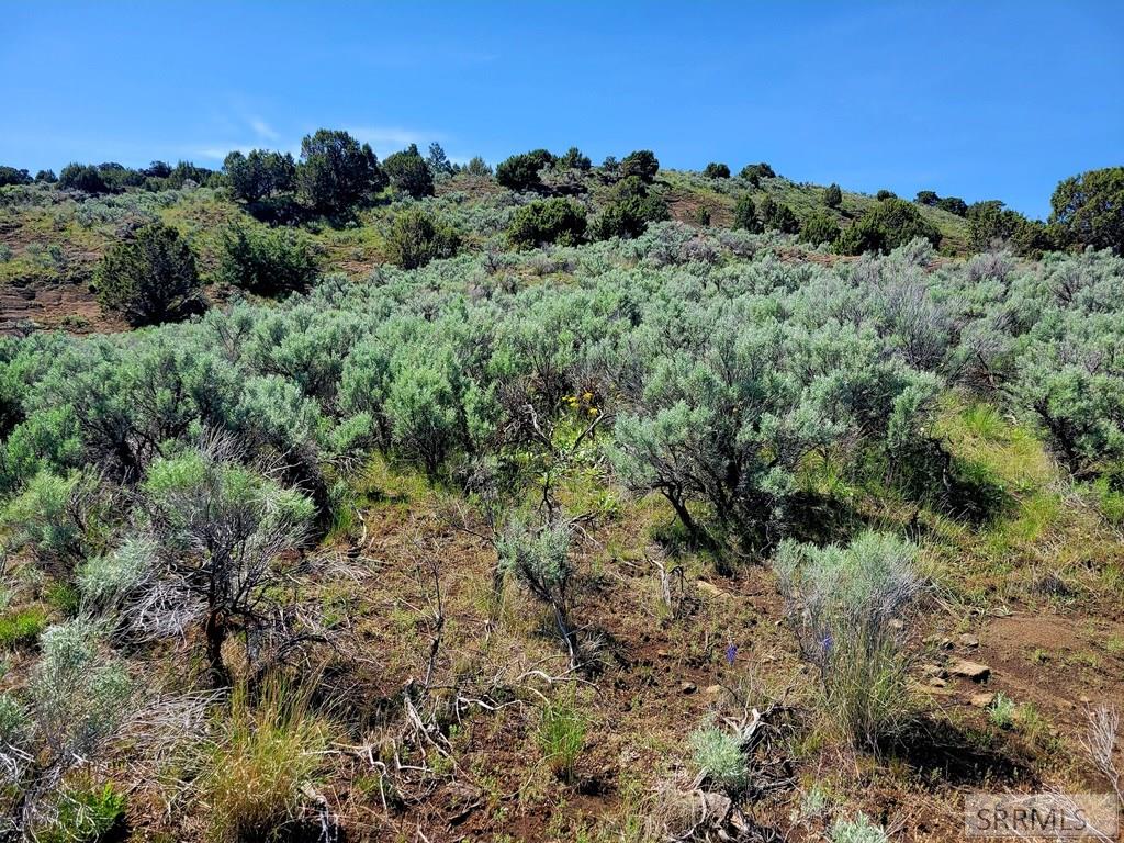L17b5 Outlaw Pass Property Photo 9