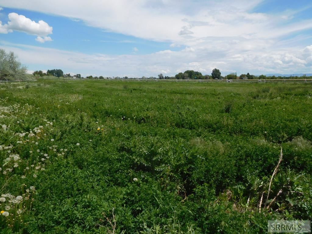 Tbd Rose Road Property Photo