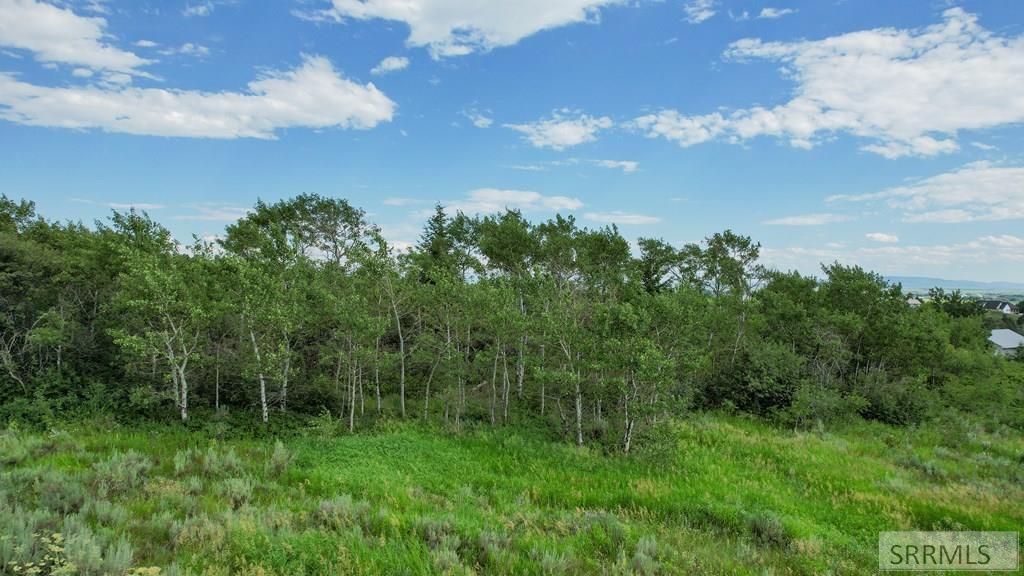 Tbd Aspen Heights Drive Property Photo 3