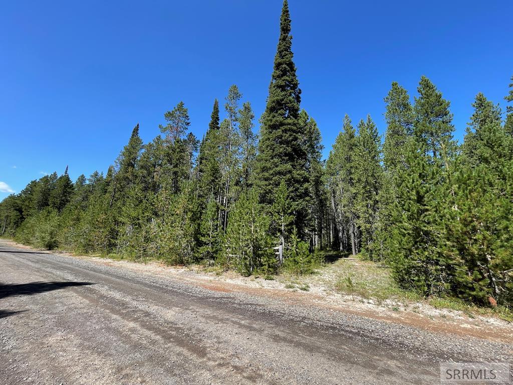 4027 N Salt Lick Loop Road Property Photo