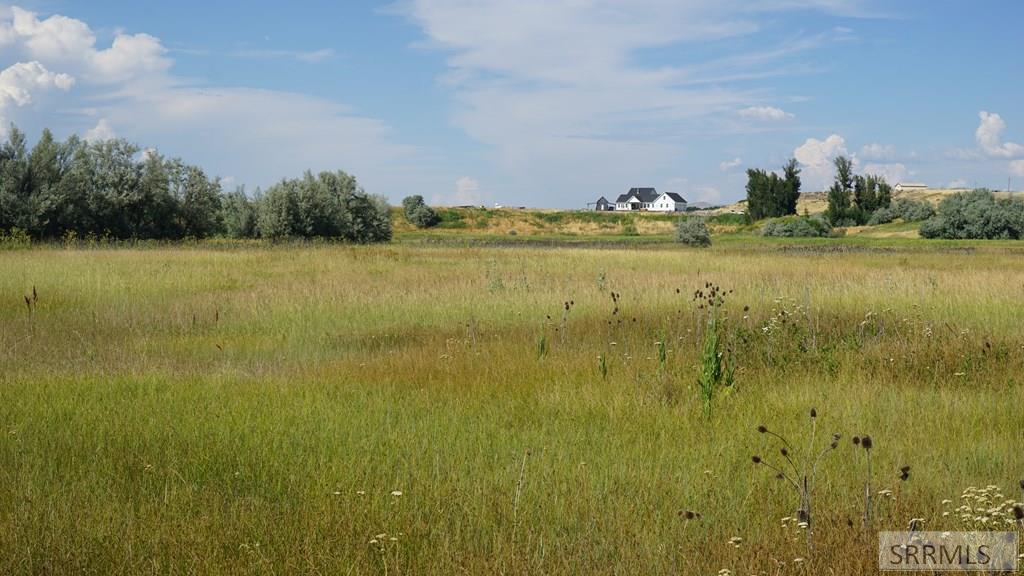 2175723 Property Photo 4