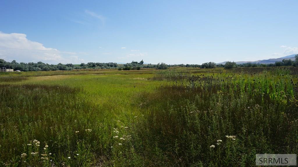2175723 Property Photo 6