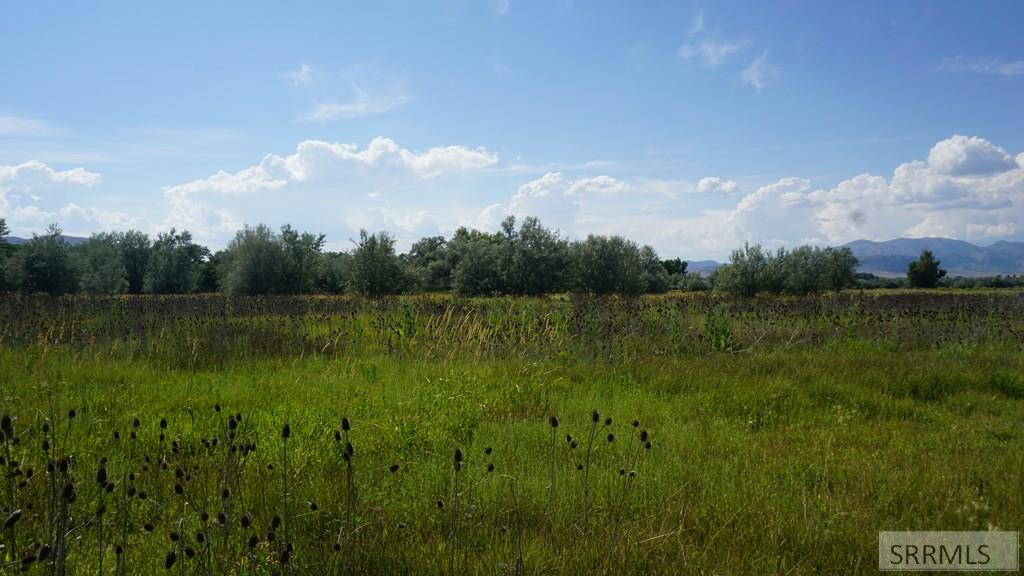 2175723 Property Photo 8