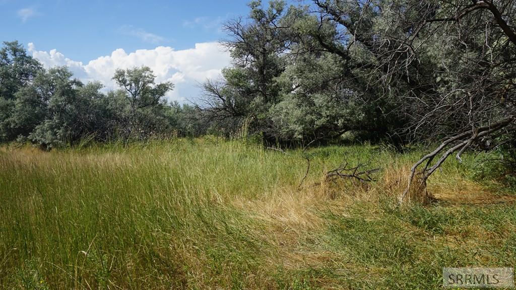 2175723 Property Photo 9