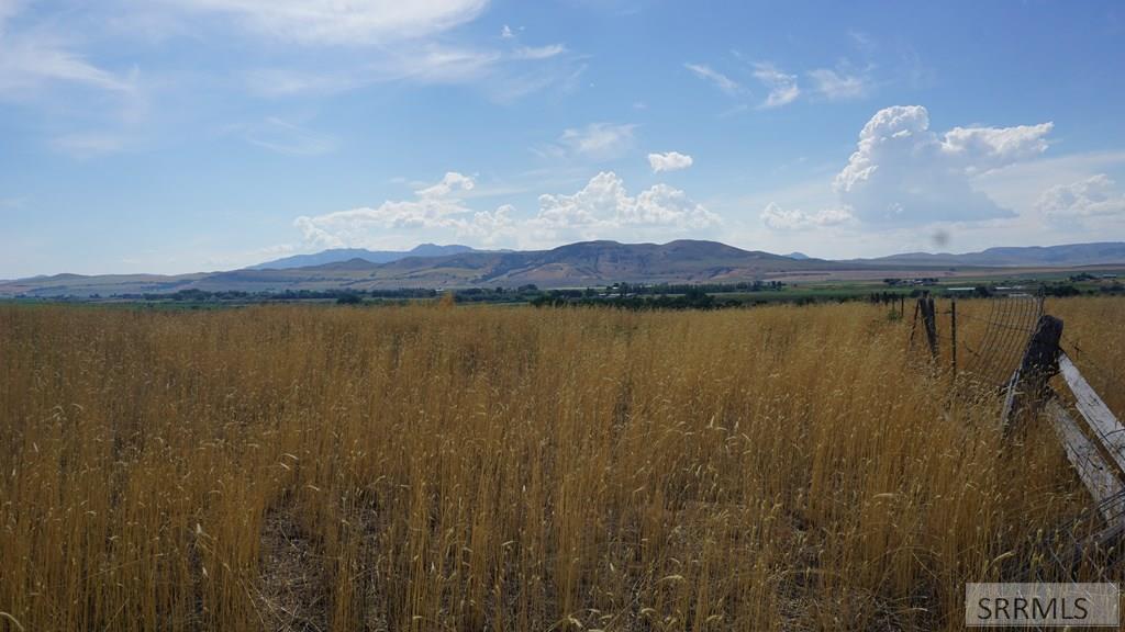 2175723 Property Photo 12