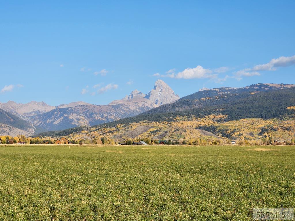 1739 Wildflower Way Property Photo
