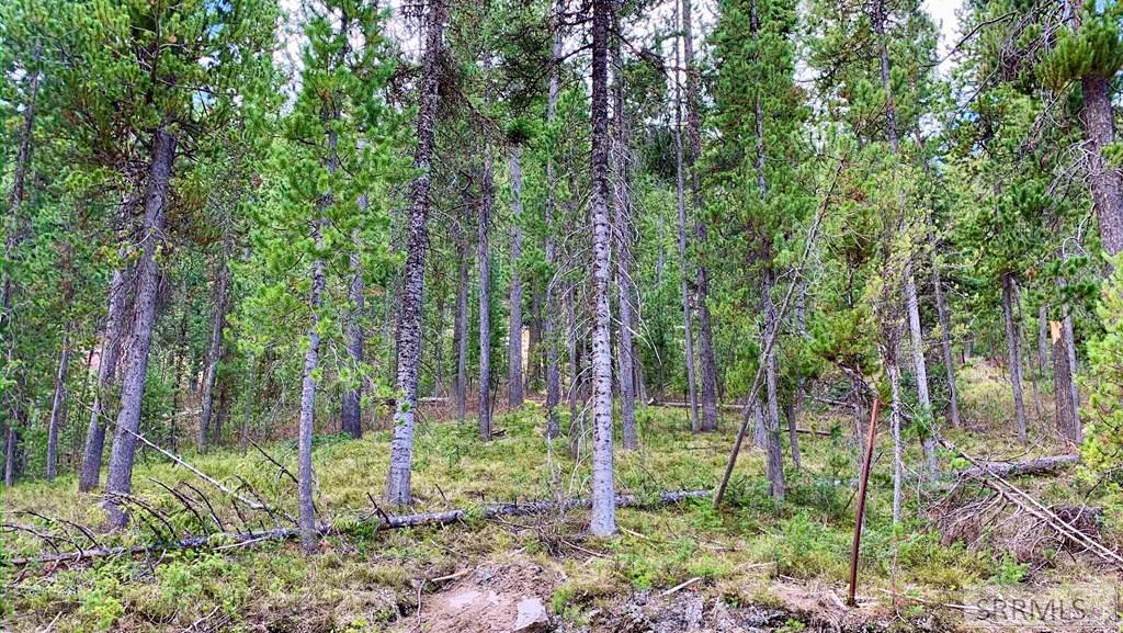 4256 Mountain View Drive Property Photo 3