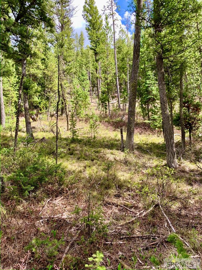 4256 Mountain View Drive Property Photo 6