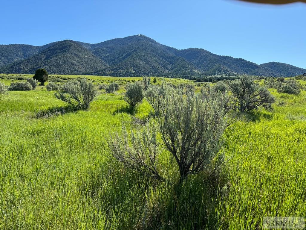 L16b4 Sumac Loop Property Photo 1