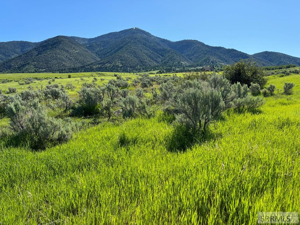 L15b4 Sumac Loop Property Photo 1