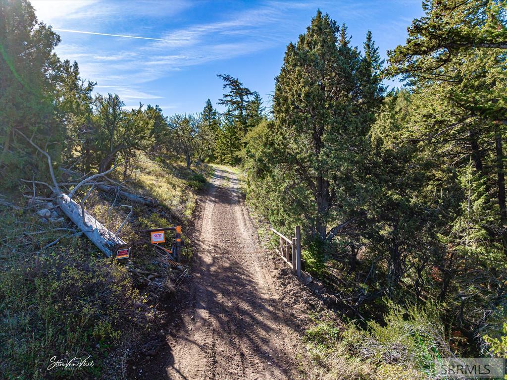 Tbd Pine Drive Property Photo