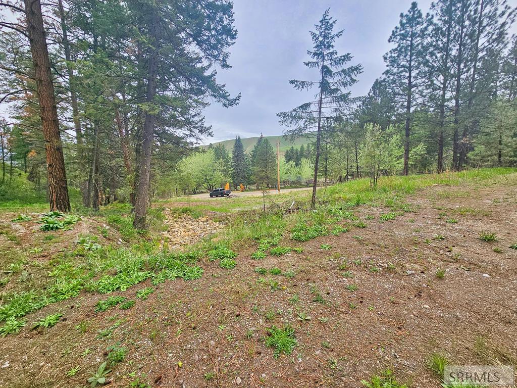 Nkn 4th Of July Creek Rd Property Photo 1