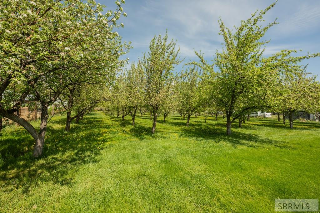 3543 665 N Property Photo 32