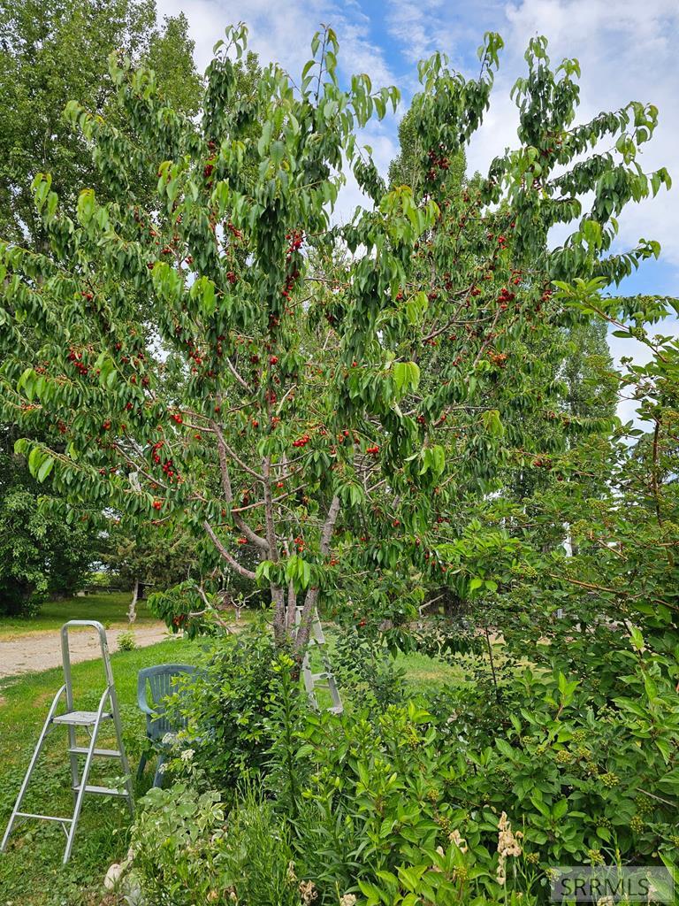 1052 E 129 N Property Photo 55
