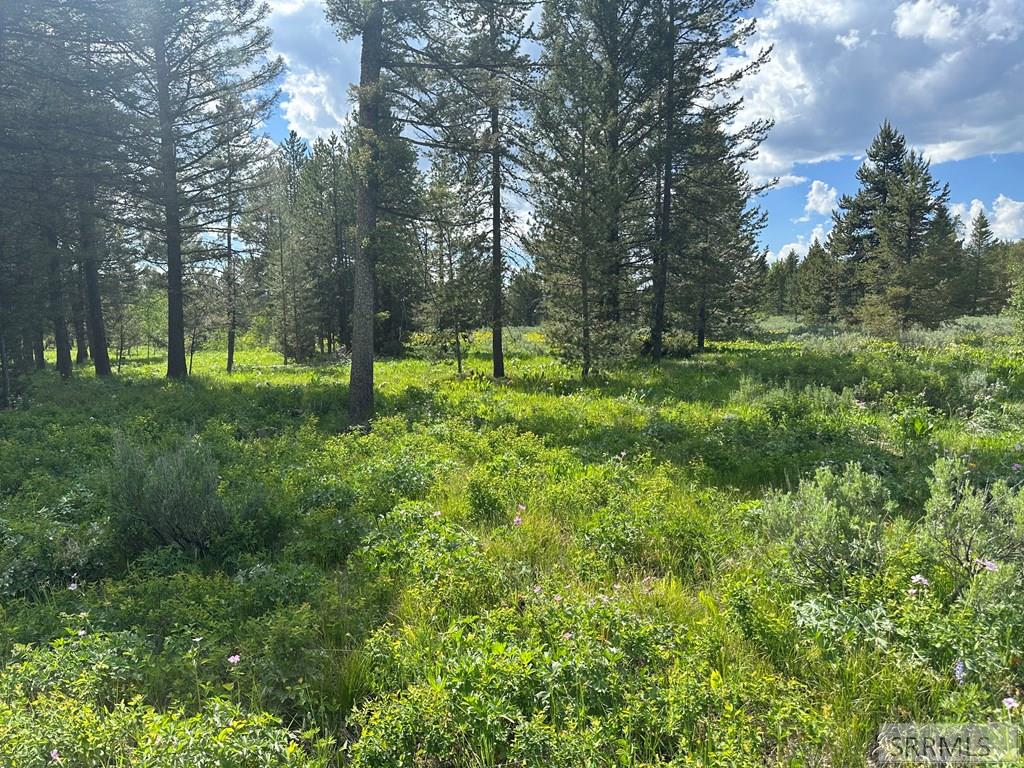 4095 Icehouse Creek Road Property Photo 2