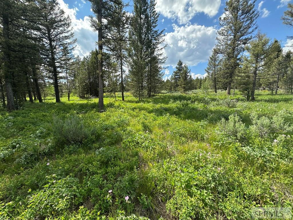 4095 Icehouse Creek Road Property Photo 3