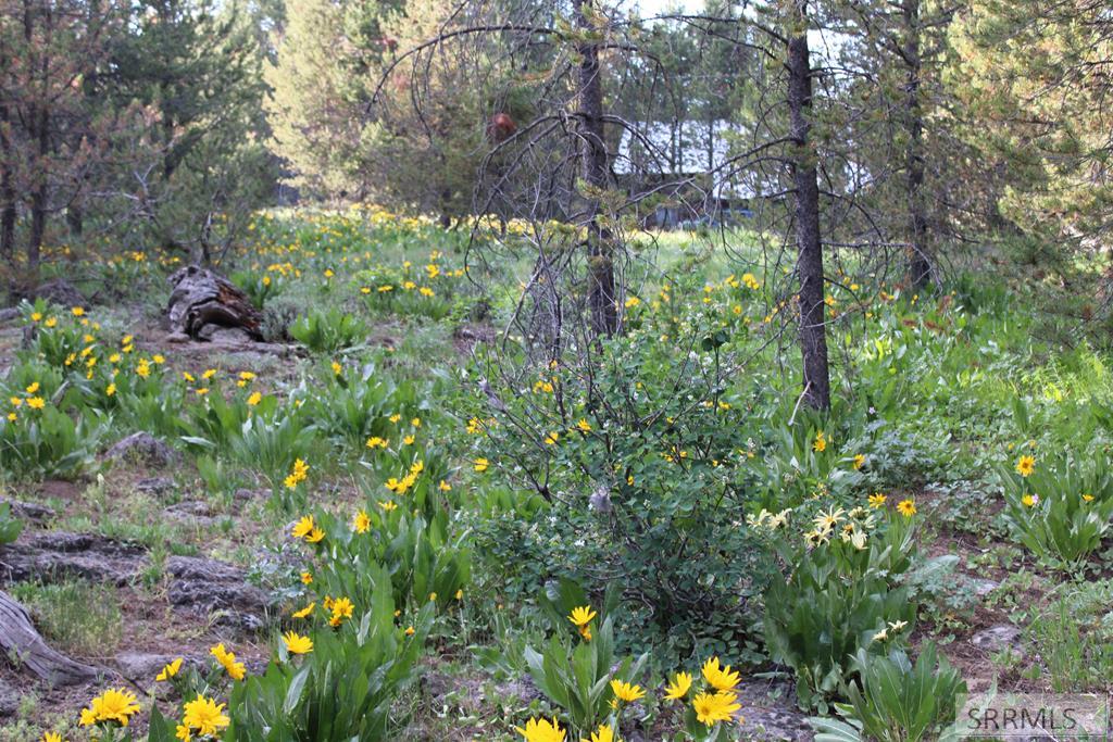 0000 Buffalo Dr Property Photo 1