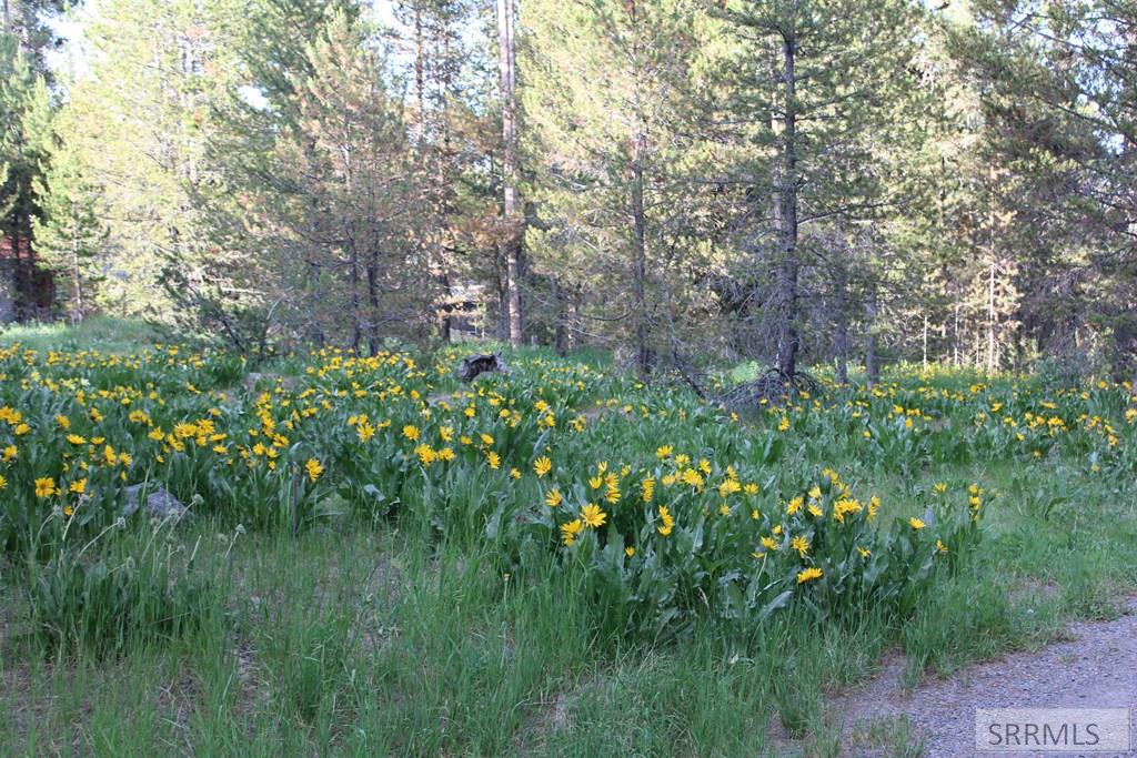 0000 Buffalo Dr Property Photo 2