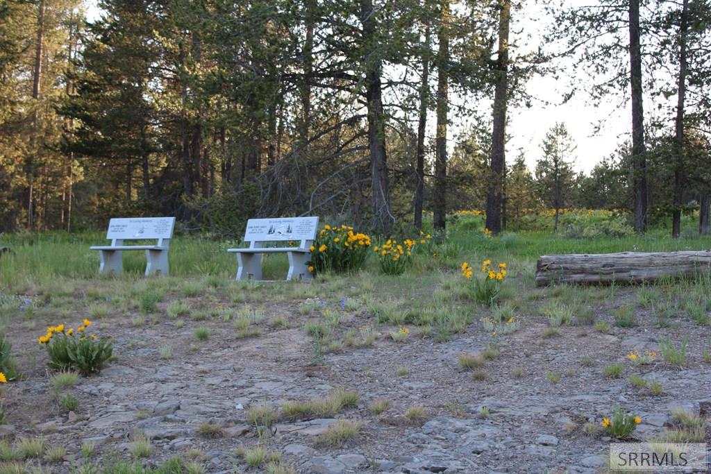 0000 Buffalo Dr Property Photo 5