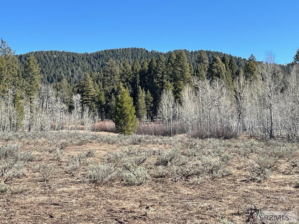 0 Camas Road Property Photo 1