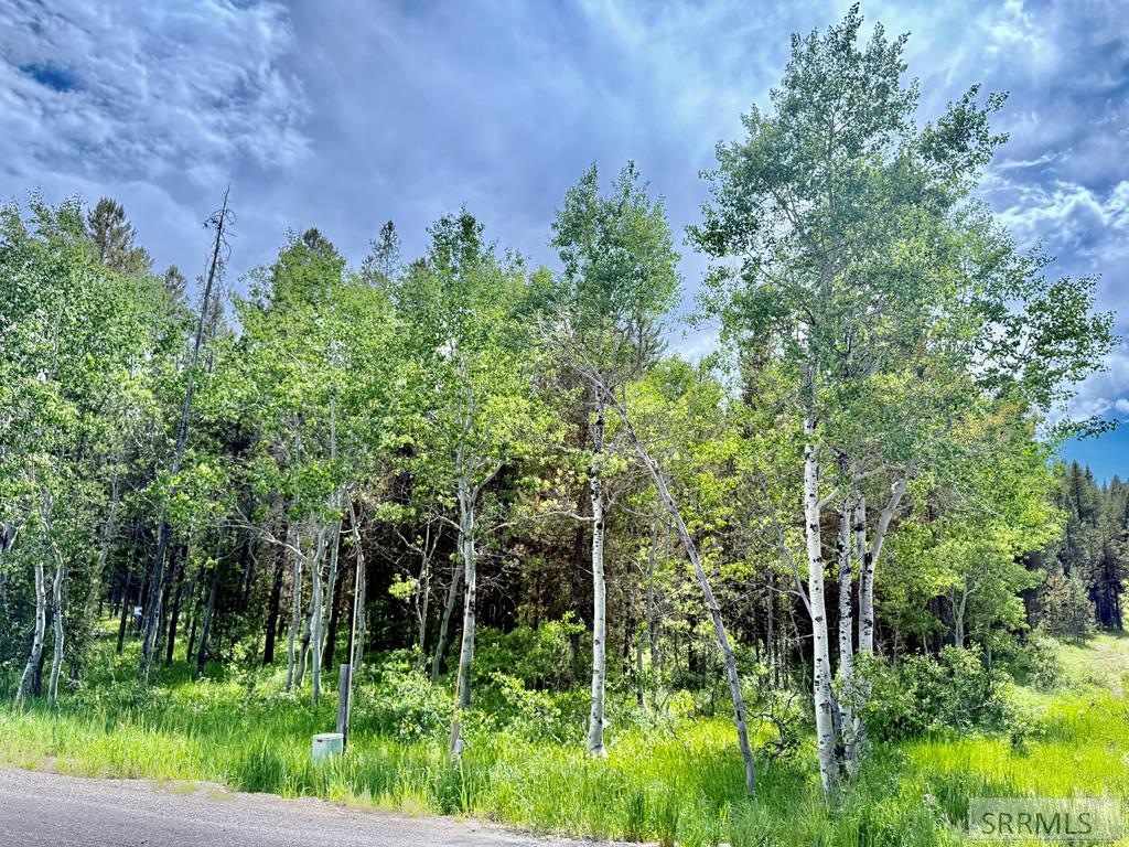 4498 Stone Run Property Photo 1