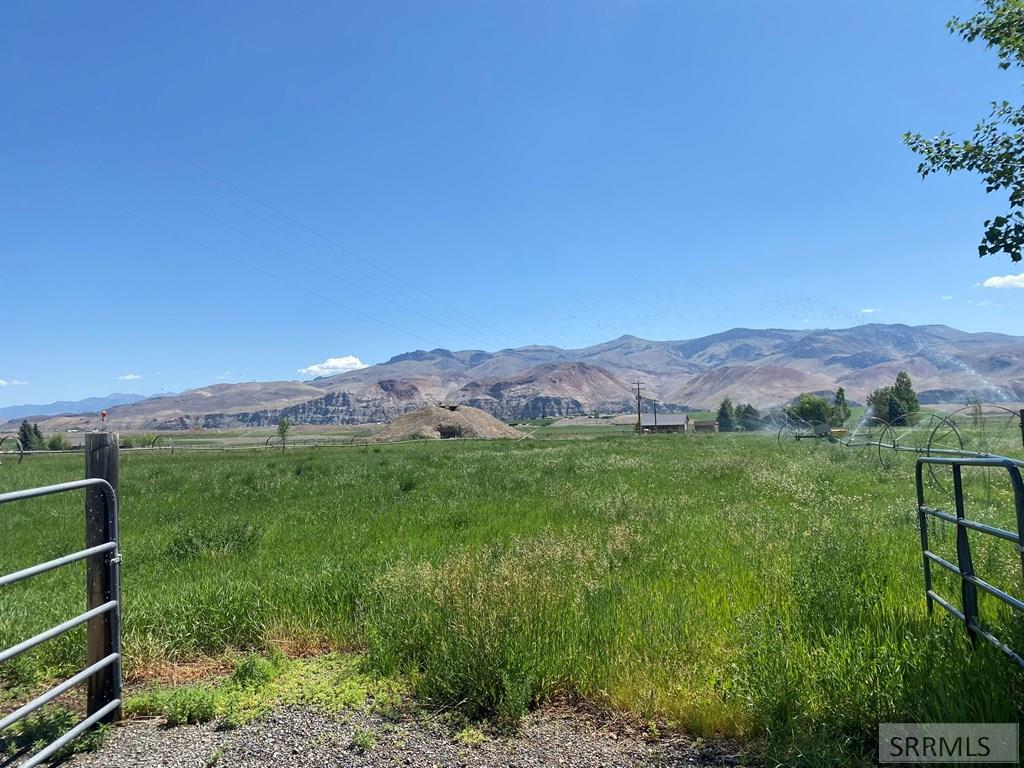 3100 Challis Creek Road Property Photo 63