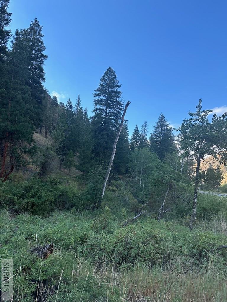 Tbd N Hwy 93 Property Photo 1
