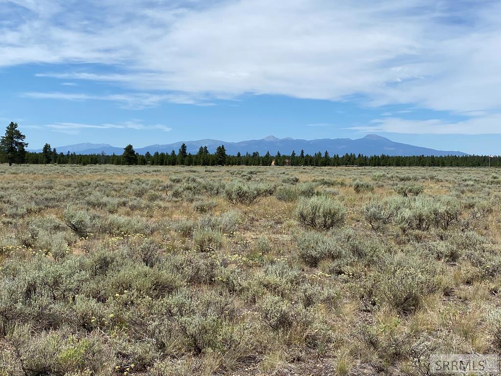 4335 Pine Grouse Road