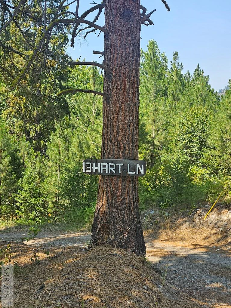 13 Hart Lane Property Photo 3