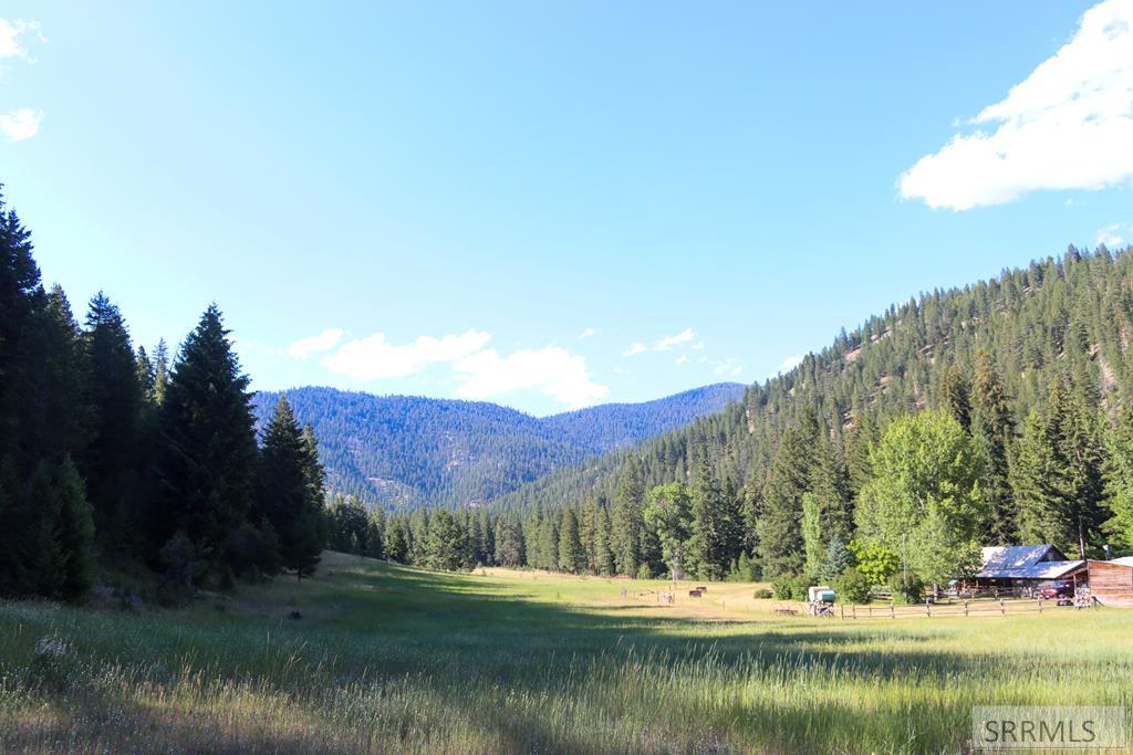 13 Hart Lane Property Photo 31