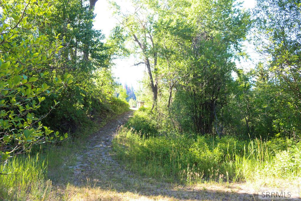 13 Hart Lane Property Photo 37